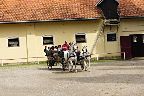 Tanzgruppe Druschba